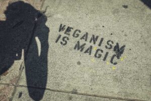 veganism is magic graffiti